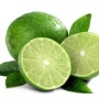 레몬 에센셜 오일(lemon e.o)의 효능 효과