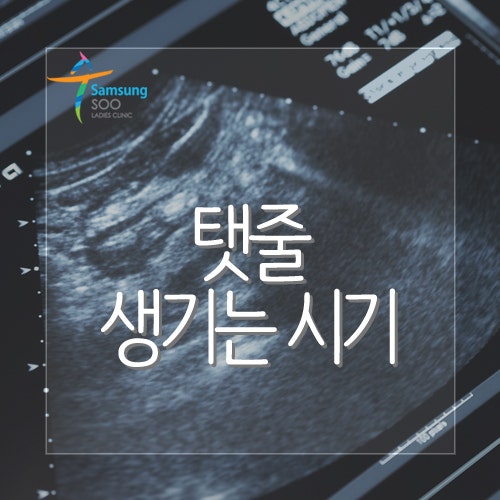 탯줄 생기는 시기 및 기형 종류 : 네이버 블로그