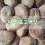 ▷익산 국화축제 D-7◁ 원목 표고버섯 판매 용동표고대장농장