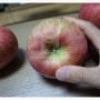 부사 사과 가격 (공품,비품,흠과,파지) 겨울부사