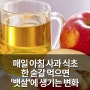 신논현 헬스장 매일 아침 사과 식초 한 숟갈 먹으면 '뱃살'에 생기는 변화 - [피트니스세븐]