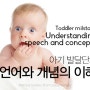 [육아정보] 아기 발달단계 : 언어와 개념의 이해