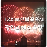 제12회 부산불꽃축제 / 광안리불꽃축제 잘 봤네요~~