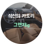 [식신의 카토리] 신형 그랜저ig 내-외관 실사 공개, 우려했던 아날로그 시계는?