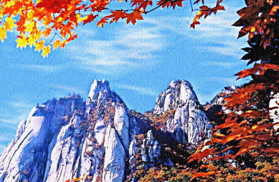 경매와 공매가 동시에 진행되는 경우? : 네이버 블로그