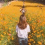 [데이트코스]올림픽공원 들꽃마루/희준