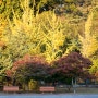 [사진이야기-풍경] 가을