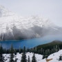 아이스필드 파크웨이의 대표호수 페이토 레이크(Peyto Lake)~ 보우 레이크(Vow Lake)