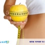 주중동 당뇨 / 비만과 복부비만 및 내장지방