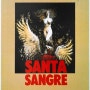 성스러운 피 (Santa Sangre, Holy Blood, 1989) ★★★★ 기괴함을 넘어 예술로 승화시킨 컬트무비