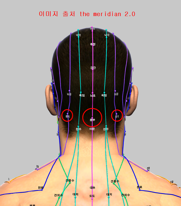 대전 유성 화목한 한의원 투자법을 이용한 전기침의 응용법 風池 風府 혹은 風池 風池 : 네이버 블로그