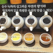 여행일기 - 오설록에서의 맛과 멋을 누린시간.