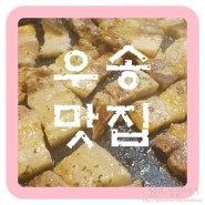 대전 우송대 맛집 불난뚱땡이에서 회식