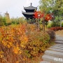 수원 중국정원 월화원 :: 효원공원 달의연인 촬영지 단풍구경 데이트 가볼만한곳 주차