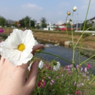 경기도 근교나들이 소리소빌리지