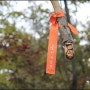 서울대공원 치유숲 체험, 30년 만에 드러낸 비밀의 숲