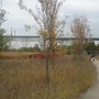 흐린주말 가을 선유도 한강공원