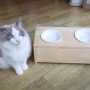 고양이 원목식탁 - 통미니 원목식탁