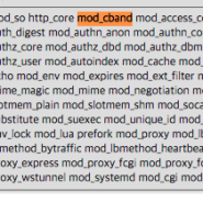 [linux]리눅스 mod_cband 사용하여 트래픽 제한 설정방법
