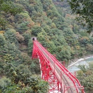 [도야마]구로베협곡철도