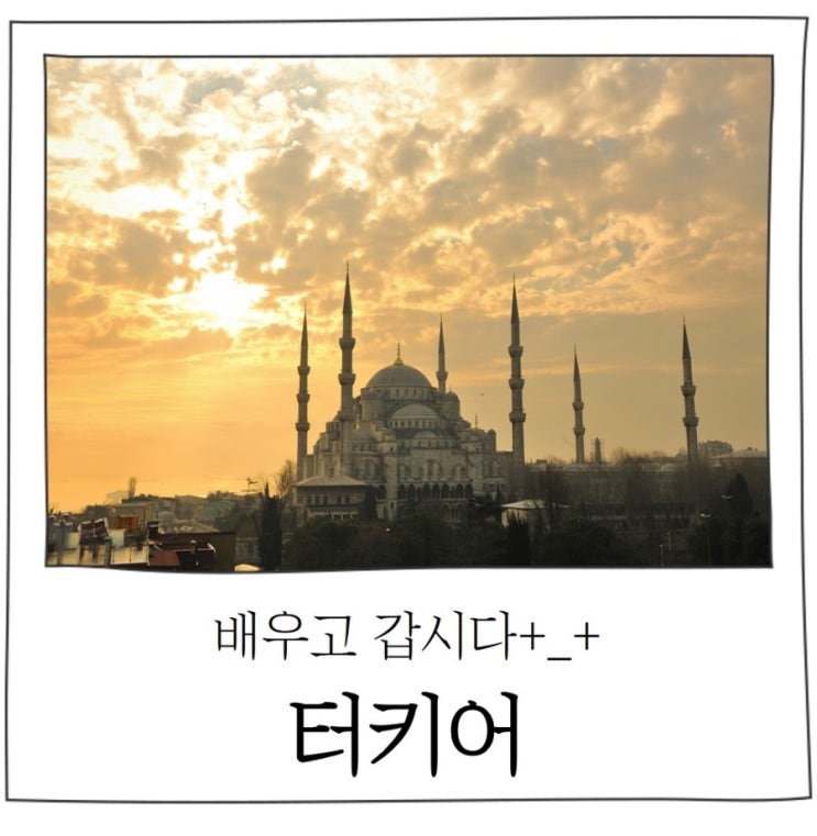 터키 기본 회í™