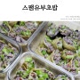 스팸 유부초밥 간단한 아침식사와 도시락으로~