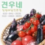 견우네에서 추천하는 강릉술안주 수육+매운탕+닭볶음탕+김치두루치기