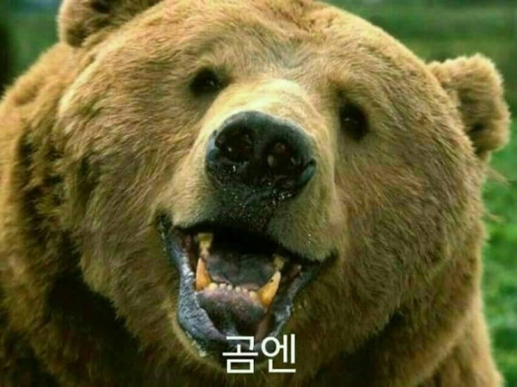 유용한 짤 모음♡카톡 짤♡블로그 짤 : 네이버 블로그
