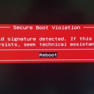 Secure Boot Violation