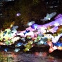가볍게 다녀온 2016 서울 빛 초롱 축제