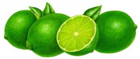 과일 라임(Lime) : 네이버 블로그
