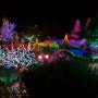 2016 포천 허브아일랜드 불빛동화축제