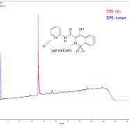 주사제 중 Pyroxicam HPLC 분석