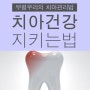 부평역치과 우리의 치아건강 제대로 지키는법
