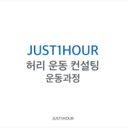 [JUST1HOUR] 허리 운동 컨설팅 운동 과정