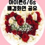 아이폰6/6s 배경화면 공유* 핑크/꽃