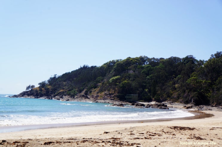 [호주 여행] Coffs harbour/콥스 하버 리조트 그리고 Diggers Beach/디거스 비치 : 네이버 블로그