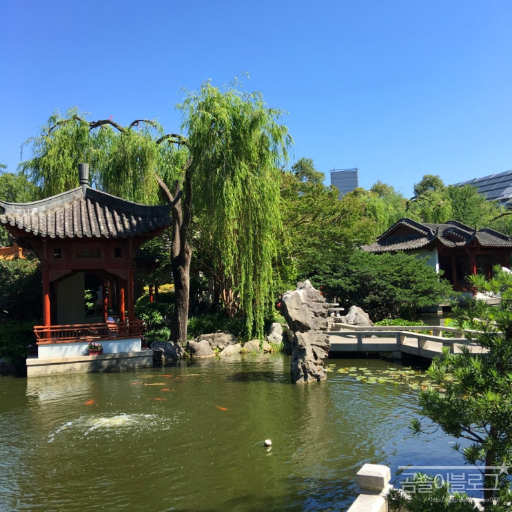 `16.11.22 중국식정원(Chinese Garden) 다녀오다