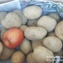 감자보관법 , 감자채볶음 만드는법^^