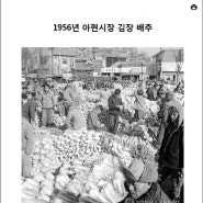 [언론보도] 1956년 아현시장 - 김장배추