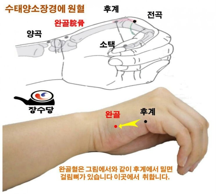 양곡혈 : 네이버 블로그 양곡혈 : 네이버 블로그