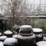 배나라농장에도 첫 눈이 왔어요^^