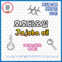 화장품 성분 알아보기 22탄 호호바오일(Jojoba oil)