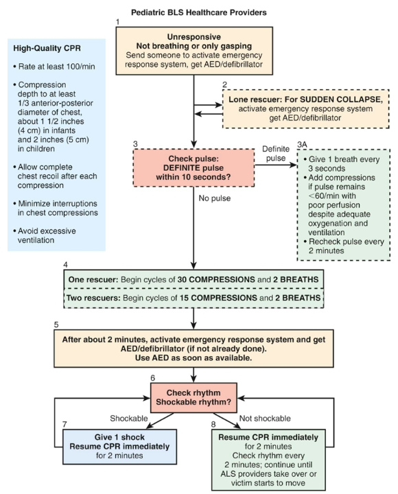 Nelson ch. 67 Pediatric Emergencies and Resuscitation : 네이버 블로그