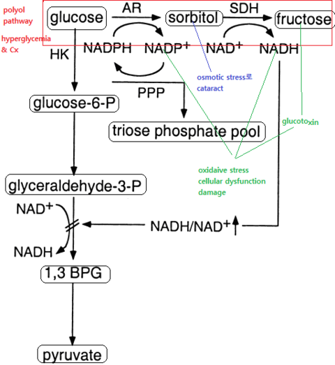 sorbitol pathway