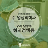 남양주 구리 수영상의학과, 하지정맥류 없는 하지정맥류?