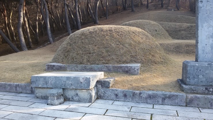 파주 법원읍 이이유적에 있는 이이가족묘, 신사임당묘와 소나무 풍경을 담아 보았습니다. 2016-11-19 : 네이버 블로그