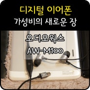 디지털이어폰으로 가성비 넘치는 음악즐기기 오디오웍스 AW-M100