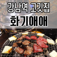 강남역고깃집:신논현고기집:<화기애애>, 분위기 좋은 고기집