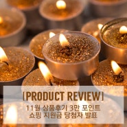 [PRODUCT REVIEW] 11월 상품후기 3만 포인트 쇼핑 지원금 당첨자 발표